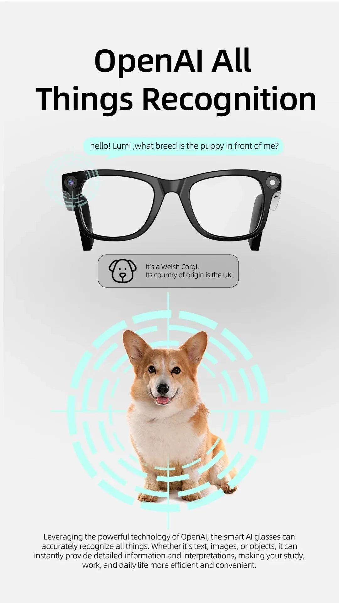 Lunettes d'IA HD anti-sac à secousses visqueuses de contact vis-à-vis des lunettes vidéo d'appel d'appel d'appel de bruit sans fil Bluetooth lunettes lunettes La Capsule