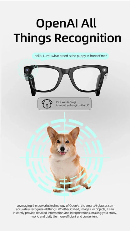 Lunettes d'IA HD anti-sac à secousses visqueuses de contact vis-à-vis des lunettes vidéo d'appel d'appel d'appel de bruit sans fil Bluetooth lunettes lunettes La Capsule
