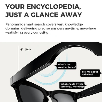 Lunettes d'IA HD anti-sac à secousses visqueuses de contact vis-à-vis des lunettes vidéo d'appel d'appel d'appel de bruit sans fil Bluetooth lunettes lunettes La Capsule